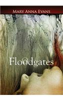 Floodgates: Library Edition