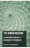 The Human Machine - The Anatomical Structure & Mechanism Of The Human Body
