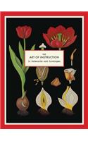 The Art of Instruction Notecard Set: 16 Notecards and Envelopes(Art of Instruction)