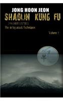 Shaolin Kung Fu
