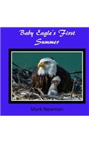 Baby Eagle's First Summer