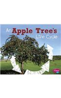 An Apple Tree's Life Cycle