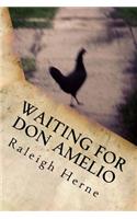 Waiting for Don Amelio: (English)