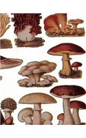 Journaling Notebook (Mushrooms Version 4, 8.5" x 11" Edition): (4 Mushrooms)
