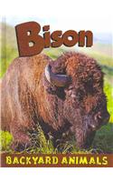 Bison