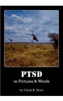 PTSD in Pictures & Words