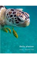 Daily Planner 2020: Large, 1 day per page. Daily Schedule, Goals, To-Dos, Assignments and Tasks. Includes Gratitude section, Meal planner, Mood and Water intake tracker