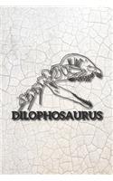 Eikland - Notes: Dinosaurier Dilophosaurus Schädel - Notizbuch 15,24 x 22,86 Punktgitter