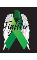 Fighter