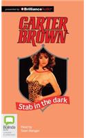 Stab in the Dark
