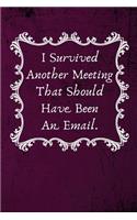 I Survived Another Meeting That Should Have Been An Email.