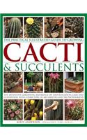 Practical Illustrated Guide to Growing Cacti & Succulents