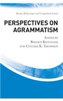 Perspectives on Agrammatism