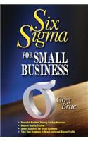 Six Sigma for Small Business