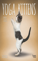 Yoga Kittens Official 2025 7 X 14 Inch Monthly Mini Wall Calendar Browntrout Animals Humor Cats Feline