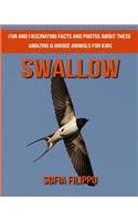 Swallow