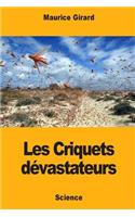 Les Criquets dévastateurs