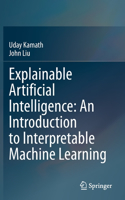 Explainable Artificial Intelligence: An Introduction to Interpretable Machine Learning