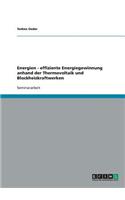 Energien - effiziente Energiegewinnung anhand der Thermovoltaik und Blockheizkraftwerken