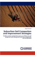 Subsurface Soil Compaction and Improvement Strategies