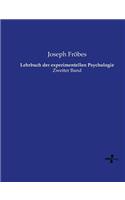 Lehrbuch der experimentellen Psychologie: Zweiter Band