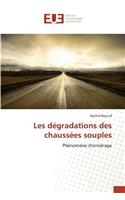 Les dégradations des chaussées souples