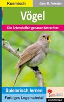 Vogel: Die Artenvielfalt genauer betrachtet