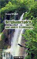 Bergkameraden und andere Erzählungen