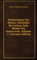 Erinnerungen Aus Mexico: Geschichte Der Letzten Zehn Monate Des Kaiserreichs, Volumes 1-2 (German Edition)