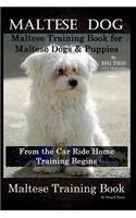 Maltese Dog, Maltese Training Book for Maltese Dogs & Puppies By D!G THIS DOG Training, From the Car Ride Home Training Begins, Maltese Training Book