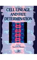 Cell Lineage and Fate Determination