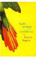 Light Action in the Caribbean