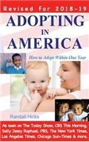 Adopting in America