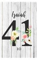 Isaiah 41