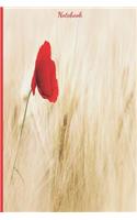 Notebook: Poppies notebook, watercolor effect. Pretty journal to write in. Sweet gift for birthday or Christmas.