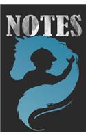 Notes