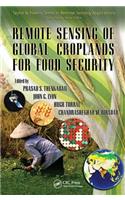 Remote Sensing of Global Croplands for Food Security