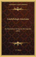 Conchyliologie Americane