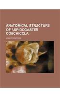 Anatomical Structure of Aspidogaster Conchicola