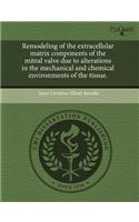 Remodeling of the Extracellular Matrix Components of the Mitral Valve Due to Alterations in the Mechanical and Chemical Environments of the Tissue