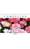 Camellias 2018