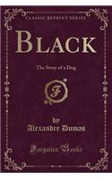 Black: The Story of a Dog (Classic Reprint)