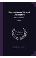 Illustrations Of Diurnal Lepidoptera