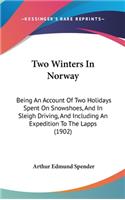 Two Winters In Norway