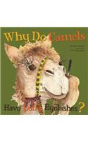 Why Do Camels Have Long Eyelashes?