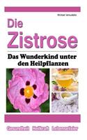 Die Zistrose: Das Wunderkind Unter Den Heilpflanzen [Wissen Kompakt]