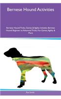 Bernese Hound Activities Bernese Hound Tricks, Games & Agility Includes: Bernese Hound Beginner to Advanced Tricks, Fun Games, Agility & More