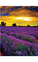 Prayer Journal Planner