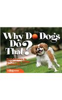 Why Do Dogs Do That?