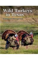 Wild Turkeys in Texas